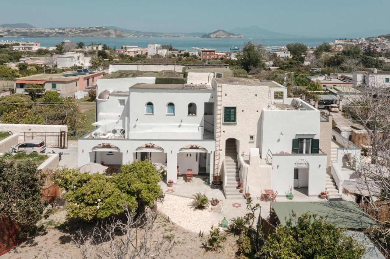 Cala Cala Rooms,restaurant & Farm Experience * Procida